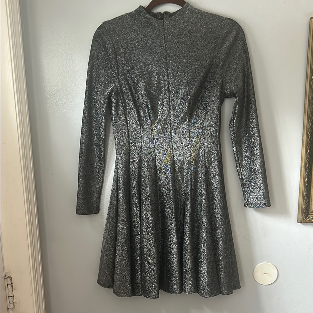 Elegant Silver Long-Sleeve Dress